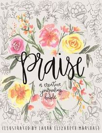 Praise: A Creative Journaling Bible voorzijde