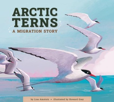 Arctic Terns: A Migration Story