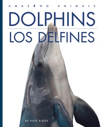 Dolphins / Los Delfines