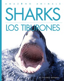 Sharks / Los Tiburones