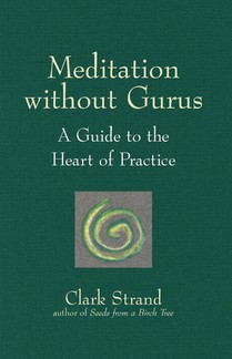 Meditation without Gurus