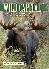 Wild Capital