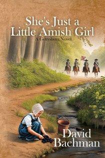 She's Just a Little Amish Girl: A Gettysburg Novel