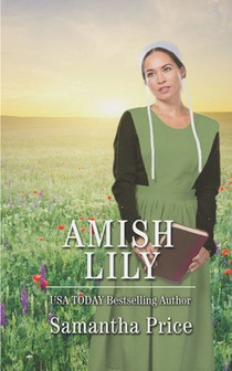 Amish Lily