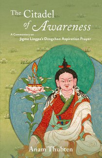 The Citadel of Awareness