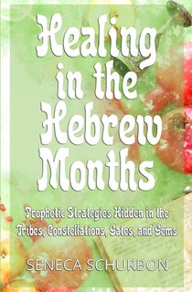 Healing in the Hebrew Months voorzijde