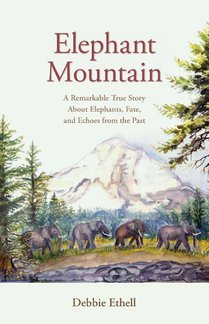 Elephant Mountain