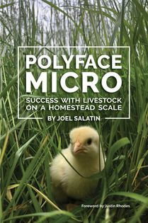 Polyface Micro