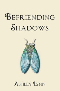 Befriending Shadows