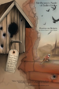 Birdhouses Made of Bullet Holes: Poems on Return