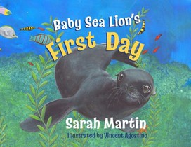 Baby Sealion's First Day: A big Adventure for a baby