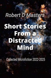 Short Stories From a Distracted Mind
