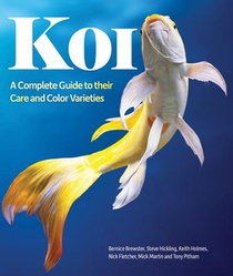Brewster, B: Koi