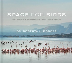 Space for Birds voorzijde