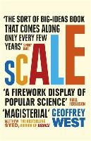 Scale