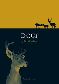 Deer voorzijde