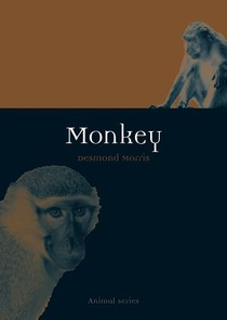 Monkey voorzijde