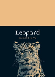 Leopard voorzijde