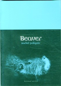 Beaver