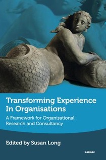 Transforming Experience in Organisations