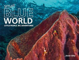 Small Blue World voorzijde