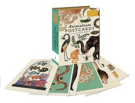 Animalium Postcards voorzijde