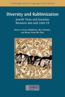 Diversity and Rabbinization voorzijde