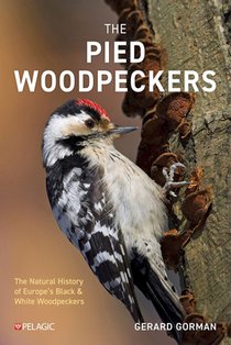Gorman, G: Pied Woodpeckers