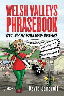 Welsh Valleys Phrasebook - Get by in Valleys-Speak!