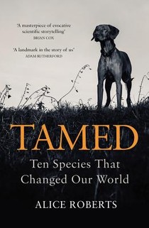 Tamed voorzijde