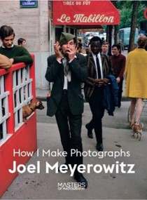 Joel Meyerowitz