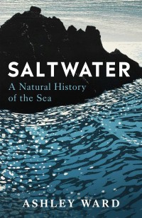 The World Beneath the Waves