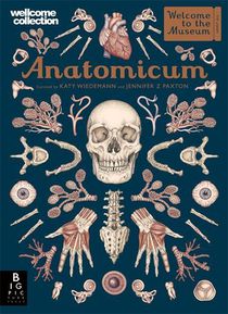 Anatomicum voorzijde