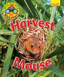 Harvest Mouse