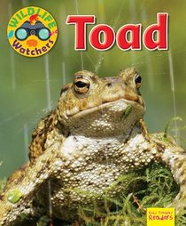 Toad