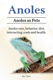 Anoles. Anoles as Pets. Anoles care, behavior, diet, interacting, costs and health.