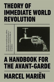 Theory of Immediate World Revolution