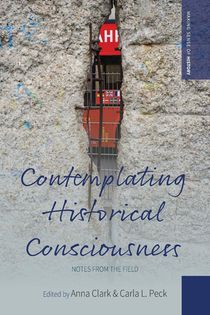 Contemplating Historical Consciousness