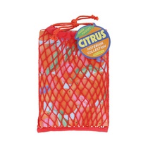 Paper Produce Citrus Notebook Collection