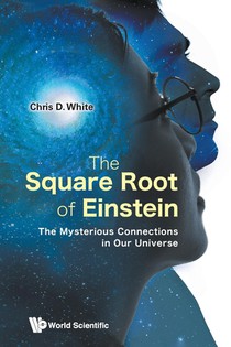 The Square Root Of Einstein: The Mysterious Connections In Our Universe