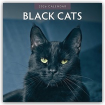 Black Cats 2026 Square Wall Calendar