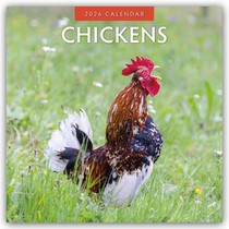 Chickens 2026 Square Wall Calendar