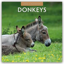 Donkeys 2026 Square Wall Calendar