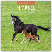 Horses 2026 Square Wall Calendar