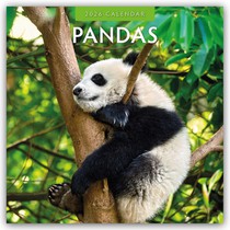 Pandas 2026 Square Wall Calendar
