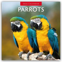 Parrots 2026 Square Wall Calendar