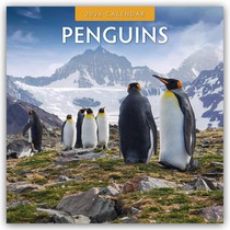 Penguins 2026 Square Wall Calendar