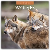 Wolves 2026 Square Wall Calendar