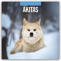 Akitas 2026 Square Wall Calendar