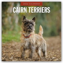 Cairn Terriers 2026 Square Wall Calendar